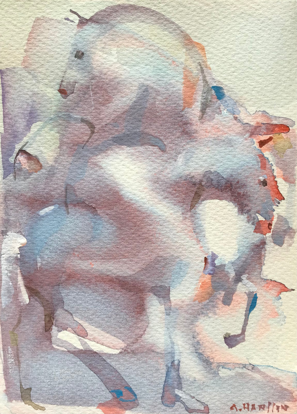 Horses in pasture